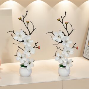 Okste ja vaaside komplekt